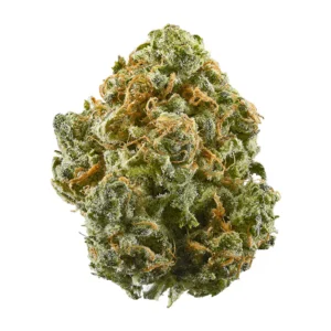 blue dream marijuana strain