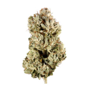 gorilla glue marijuana strain