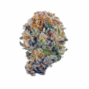 Blueberry Muffin - Image 1