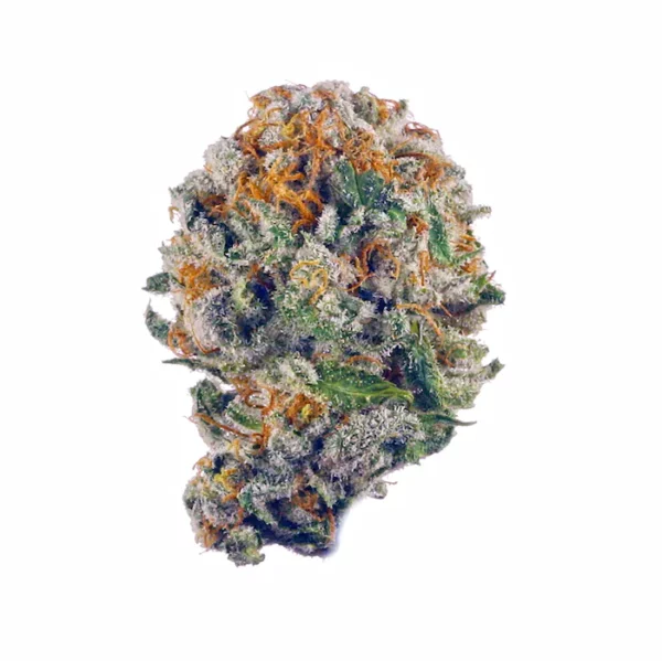 Purple Panty Dropper Weed Strain Information