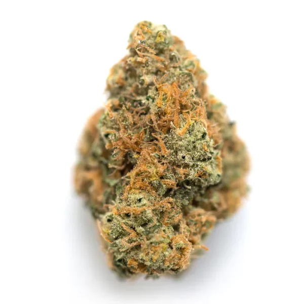 strain 4.png