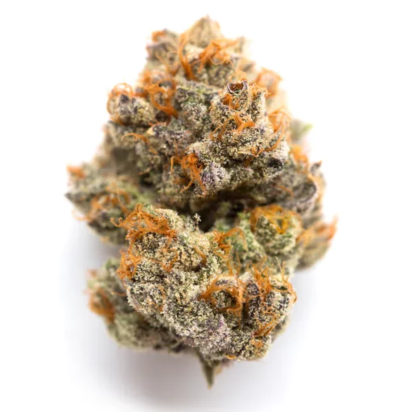 strain 1.png