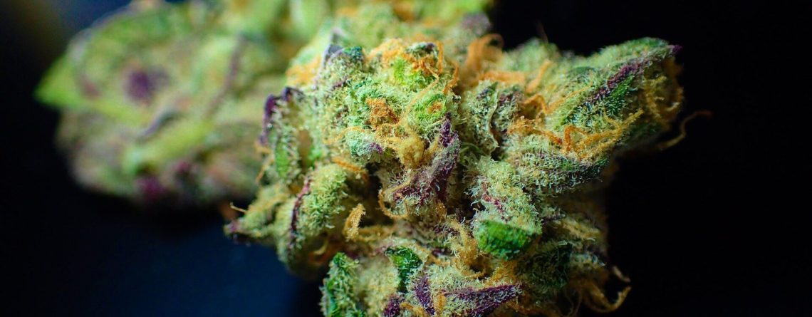 Image of cannabis bud