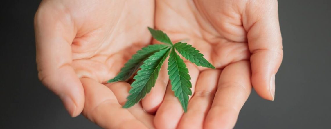 Cannabis News Header