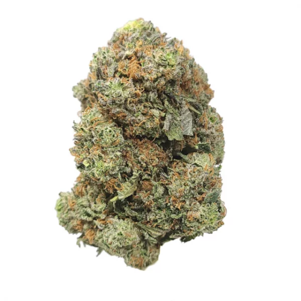 black tuna marijuana strain