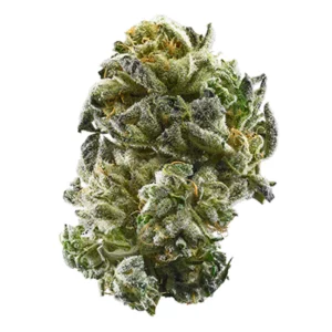 Girl Scout Cookies - Image 1