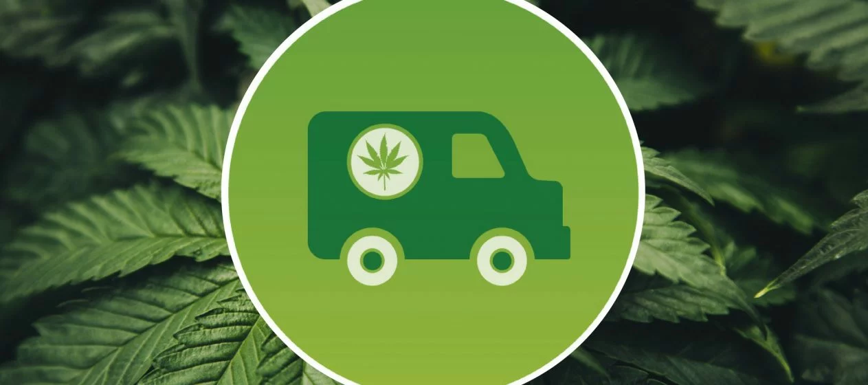 6 reasons why cannabis delivery is better for you