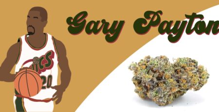 Gary Payton Marijuana Strain