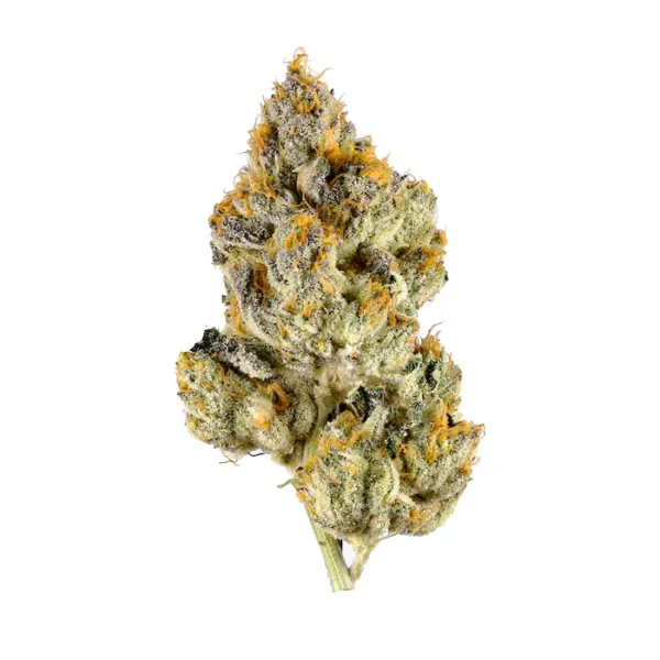 Oreoz cannabis strain