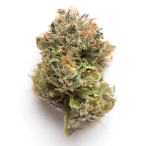 two scoops marijuana strain