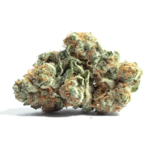 gorilla Kush marijuana strain