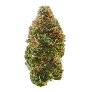 sour peach marijuana strain