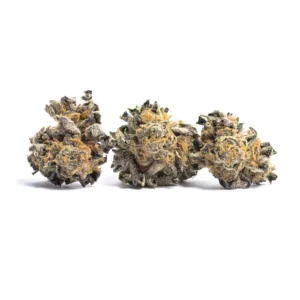 Animal cookies marijuana strain