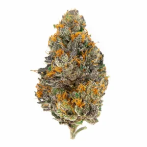 zookies marijuana strain