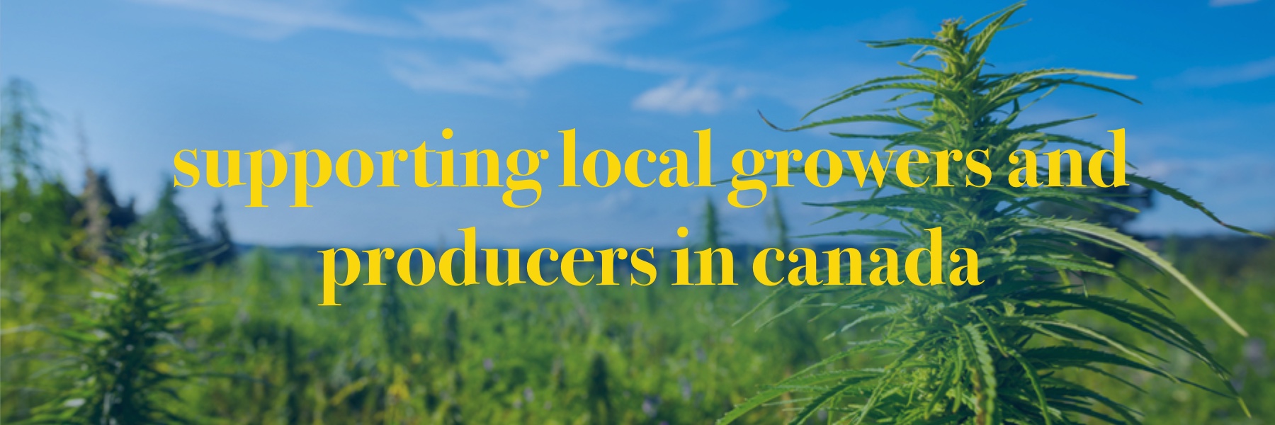 Supporting Local Growers and Producers in Canada