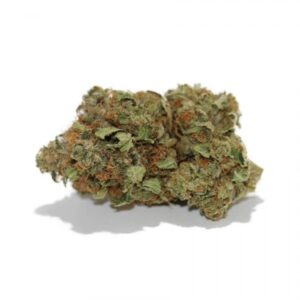 Afghan kush marijuana strain