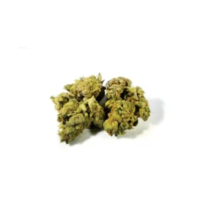 ghost rider og marijuana strain