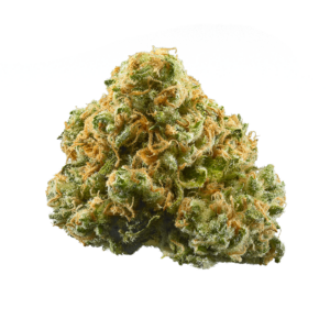 maple leaf marijuana strain