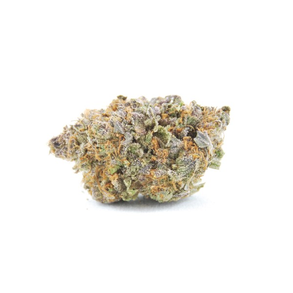 master Kush marijuana strain