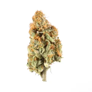 hfcs marijuana strain