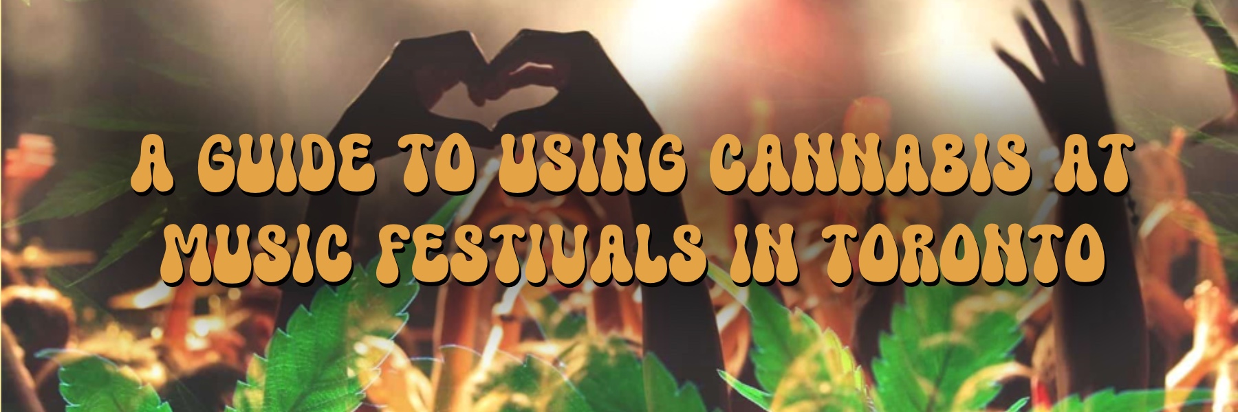 A guide to using cannabis at music festivals in Toronto