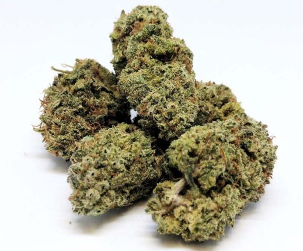 strawberry cheesecake strain