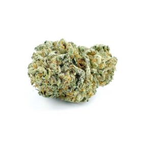 cali Kush marijuana strain