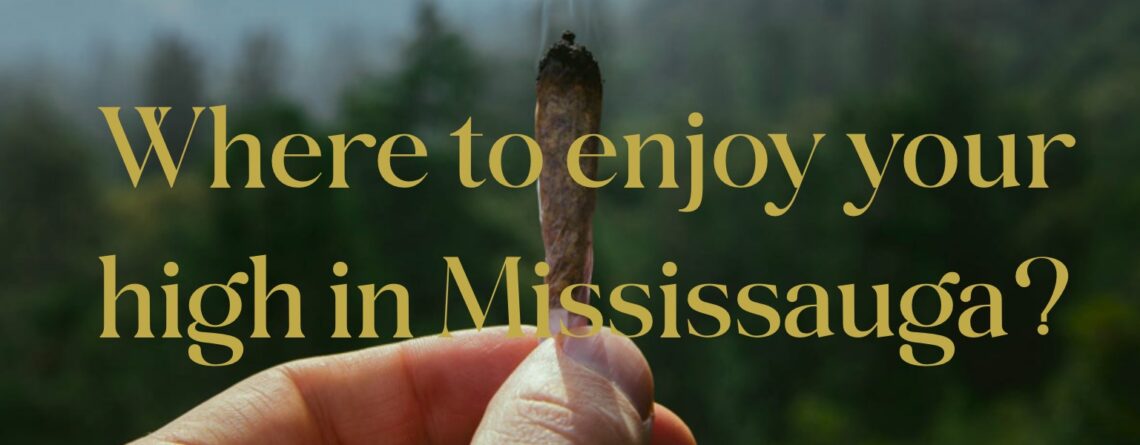 Where to enjoy your high in Mississauga?