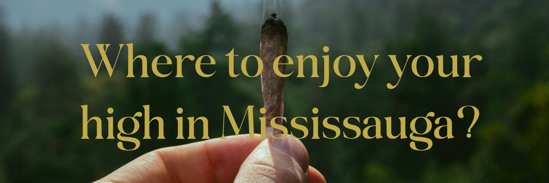 Where to enjoy your high in Mississauga?