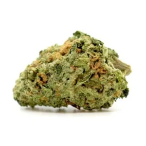 deadhead og marijuana strain