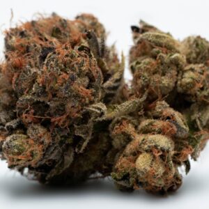 Kimbo Kush marijuana strain