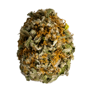 sensi star marijuana strain