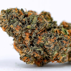 Area 51 cannabis strain