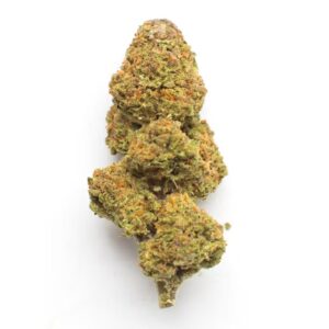 UK Cheese marijuana strain