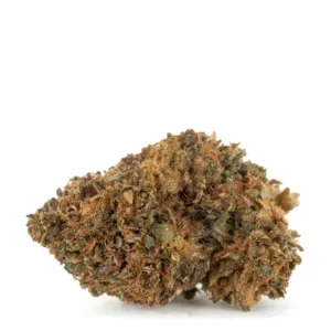 Black Domina marijuana strain