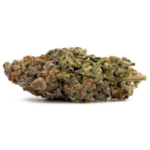 Blueberry marijuana strain