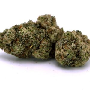 Captain Kush marijuana strain