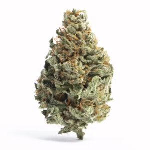 Recon marijuana strain